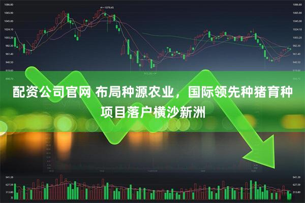 配资公司官网 布局种源农业，国际领先种猪育种项目落户横沙新洲