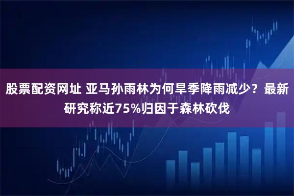 股票配资网址 亚马孙雨林为何旱季降雨减少？最新研究称近75%归因于森林砍伐