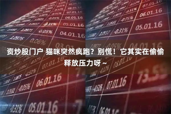 资炒股门户 猫咪突然疯跑？别慌！它其实在偷偷释放压力呀～